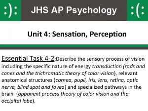 JHS AP Psychology Unit 4 Sensation Perception Essential