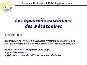 Licence Biologie UE Biologie animale Les appareils excrteurs