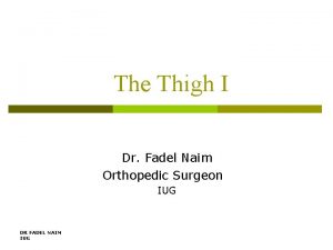 The Thigh I Dr Fadel Naim Orthopedic Surgeon