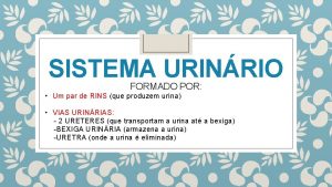 SISTEMA URINRIO FORMADO POR Um par de RINS