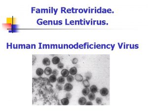 Family Retroviridae Genus Lentivirus Human Immunodeficiency Virus 2008