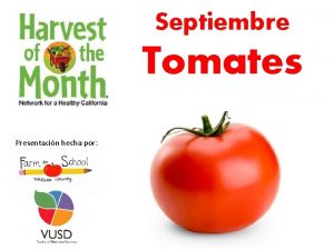 Septiembre Tomates Presentacin hecha por Cmo crecen los