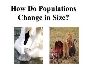 How Do Populations Change in Size Youre The