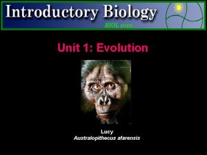 Unit 1 Evolution Lucy Australopithecus afarensis Charles Darwin