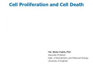 Cell Proliferation and Cell Death Md Abdur Rakib