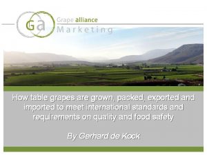 How table grapes are grown packed exported and