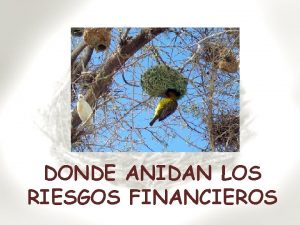 DONDE ANIDAN LOS RIESGOS FINANCIEROS La palabra riesgo