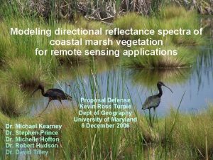 Modeling directional reflectance spectra of coastal marsh vegetation