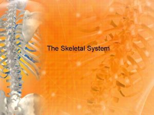 The Skeletal System Vocabulary Skeletal System A system