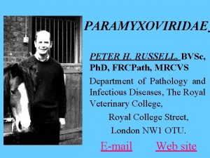 PARAMYXOVIRIDAE PETER H RUSSELL BVSc Ph D FRCPath