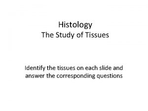 Histology The Study of Tissues Identify the tissues