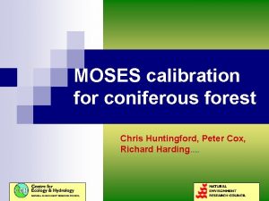 MOSES calibration for coniferous forest Chris Huntingford Peter
