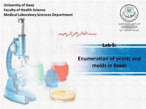 Lab 5 Enumeration of yeasts and molds in