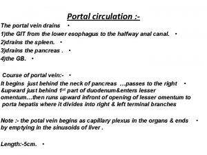 Portal circulation The portal vein drains 1the GIT