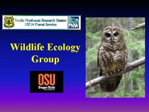 Wildlife Ecology Group Northwest Forest Plan NWFP 8