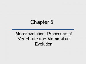 Chapter 5 Macroevolution Processes of Vertebrate and Mammalian