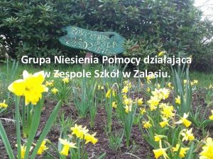 Grupa Niesienia Pomocy dziaajca w Zespole Szk w