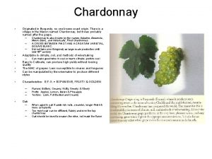 Chardonnay Originated in Burgundy no one knows exact