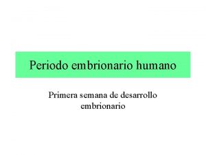 Periodo embrionario humano Primera semana de desarrollo embrionario