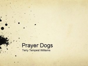 Prayer Dogs Terry Tempest Williams Discussion Questions According