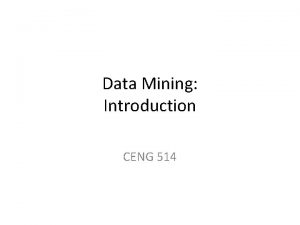 Data Mining Introduction CENG 514 What is Data