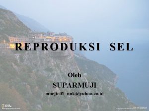 REPRODUKSI SEL Oleh SUPARMUJI moejie 01nnkyahoo co id