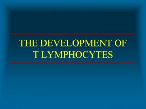 THE DEVELOPMENT OF T LYMPHOCYTES DEVELOPMENT OF T