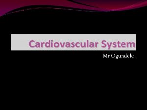 Cardiovascular System Mr Ogundele Diagnostic Studies Chest Xray