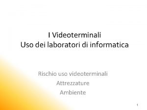 I Videoterminali Uso dei laboratori di informatica Rischio