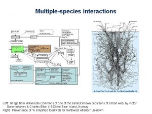 Multiplespecies interactions Left Image from Wikimedia Commons of