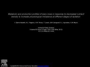 Metabolic and production profiles of dairy cows in