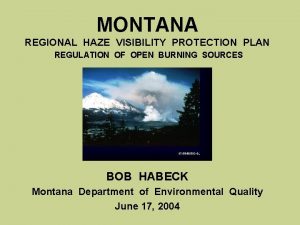 MONTANA REGIONAL HAZE VISIBILITY PROTECTION PLAN REGULATION OF