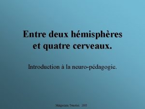 Entre deux hmisphres et quatre cerveaux Introduction la