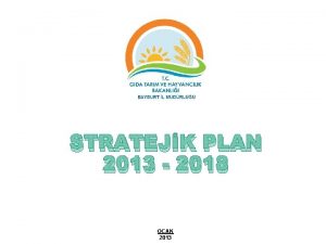 STRATEJK PLAN 2013 2018 OCAK 2013 Tarm sektr