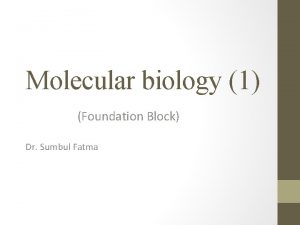 Molecular biology 1 Foundation Block Dr Sumbul Fatma