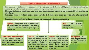 OTRAS INTERACCIONES Y ADAPTACIONES Las especies evolucionan y