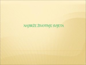 NAJBRE IVOTINJE SVIJETA Sokol je najbra ptica i