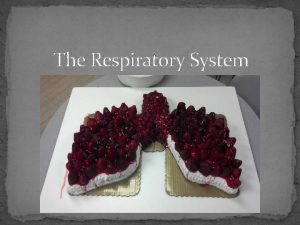 The Respiratory System Primary Functions 1 Exchange gases