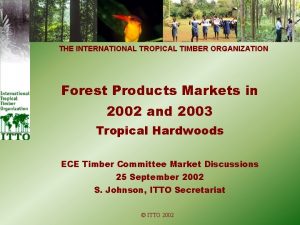 THE INTERNATIONAL TROPICAL TIMBER ORGANIZATION Forest Products Markets