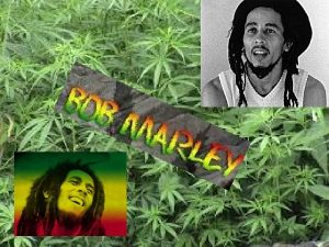 OSNOVNI PODATKI Rojstno ime Robert Nesta Marley Znan