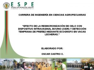 CARRERA DE INGENIERA EN CIENCIAS AGROPECUARIAS EFECTO DE