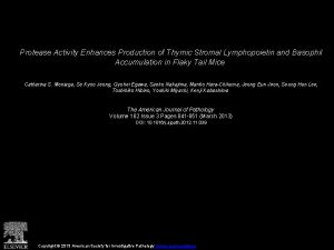 Protease Activity Enhances Production of Thymic Stromal Lymphopoietin
