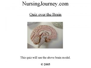 Nursing Journey com Quiz over the Brain This