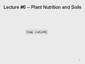 Lecture 6 Plant Nutrition and Soils Image a