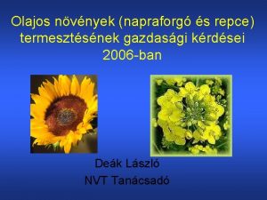 Olajos nvnyek napraforg s repce termesztsnek gazdasgi krdsei