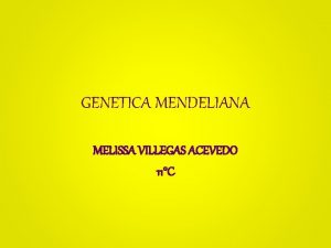GENETICA MENDELIANA MELISSA VILLEGAS ACEVEDO 11C GENETICA MENDELIANA