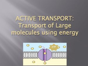 ACTIVE TRANSPORT Transport of Large molecules using energy