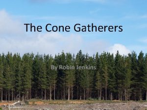 The Cone Gatherers By Robin Jenkins Robin Jenkins