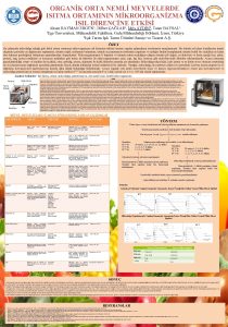 ORGANK ORTA NEML MEYVELERDE ISITMA ORTAMININ MKROORGANZMA ISIL