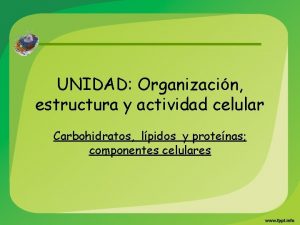 UNIDAD Organizacin estructura y actividad celular Carbohidratos lpidos